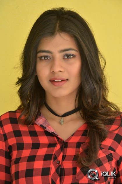 Hebah-Patel-at-Nanna-Nenu-Naa-Boyfriends-Movie-Success-Meet